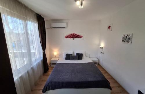 Blagoevgrad Apartment | 3 Rooms Apartment, Top Center, 1st Floor, AUBG, WiFi, PC i5 SSD, Tablet, AndroidMiTvBox, 3 LED TVs 200 Channels, Long Terrace, Self-Easy-Late Check-in, Stay Before Greece