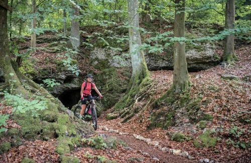 Mistelgau House | 3-Zi App Garni I Fränkische Schweiz, Miselgau-Obernsees