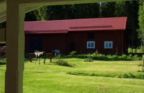 Hagfors House | 300 m² House ∙ 4 bedrooms ∙ 14 guests