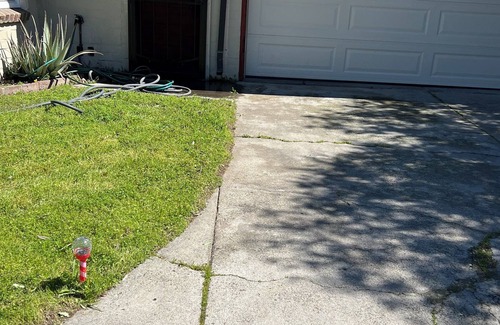 Sacramento House | 3216 Palmer St