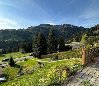 Moleson Apartment | 33 m² Apartment ∙ 1 bedroom ∙ 4 guests