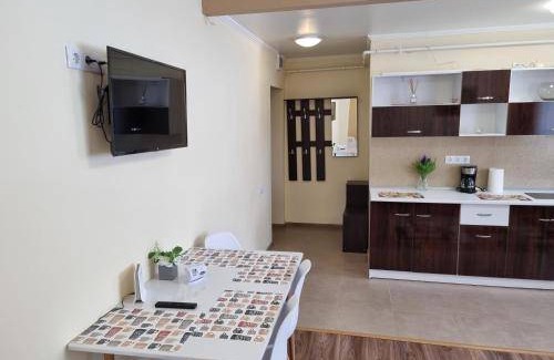 Cavnic Apartment | 34 m² Apartment ∙ 1 bedroom ∙ 3 guests