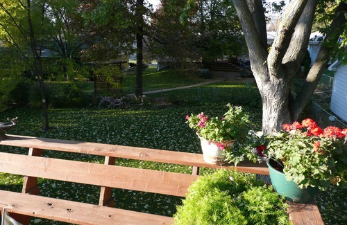 South Central Omaha House | 34% Off starting 28 nights for this Darling Home On Quiet Street
