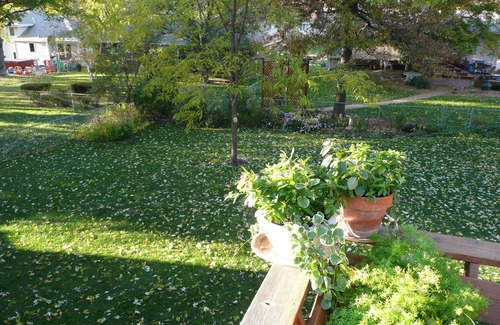 South Central Omaha House | 34% Off starting 28 nights for this Darling Home On Quiet Street