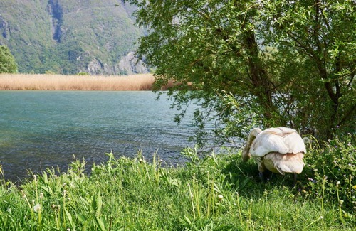 Dascio Other | 35 m² Accommodation ∙ 1 bedroom ∙ 3 guests