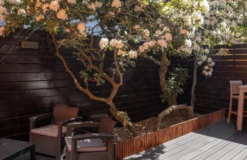 Oud-Zuid Hotel | 35 m² Hotel ∙ 10 guests