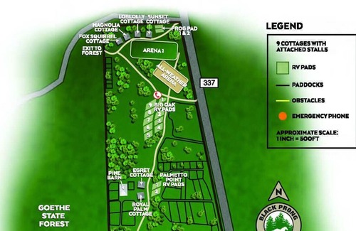 Bronson House | 35 minutes from both Gainesville and Ocala, 20 minutes from HITS