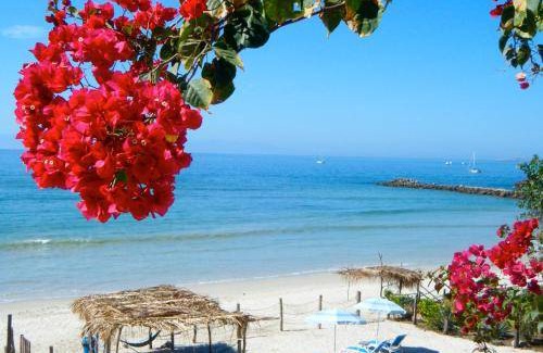 Emiliano Zapata Hotel | 37 m² Hotel ∙ 2 guests