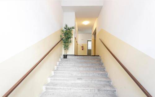 Funfhaus Apartment | 39 m² Apartment ∙ 1 bedroom ∙ 2 guests