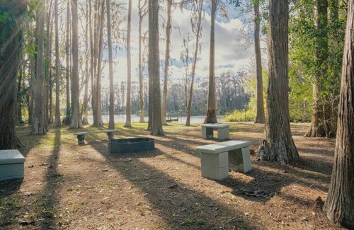Greater Northdale House | 3bdr/2bth Lake Home (Tampa/LUTZ) close to all