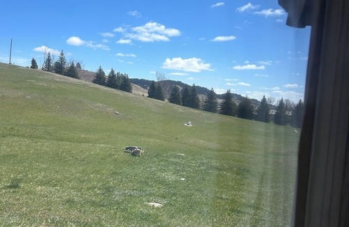 Sturgis Cabin | 3Bedroom, 2 Bath Cabin Located in Sturgis South Dakota just minutes from Downtown Sturgis