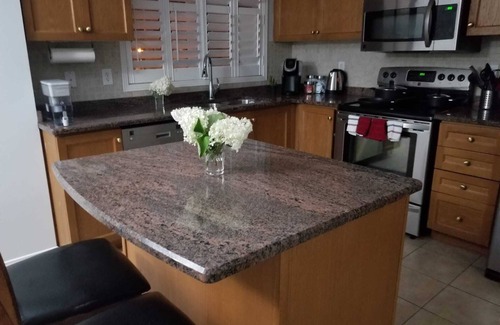 Ajax House | 3BR 2.5BTH Clean Spacious House-Free Parking! Perfect Location!