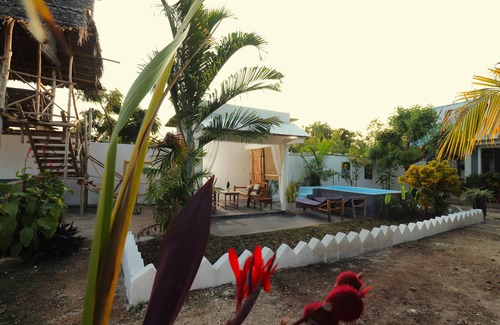 Bwejuu Beach House | 3BR Home in Paje with Pool – Walk to Beach, Dining, & Kite Spots