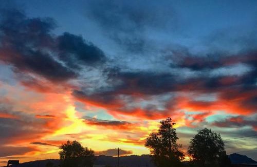 Biggs Field Bed & Breakfast | 3Mins.Airport/Fort Bliss-Pet Friendly-Washer/Dryer