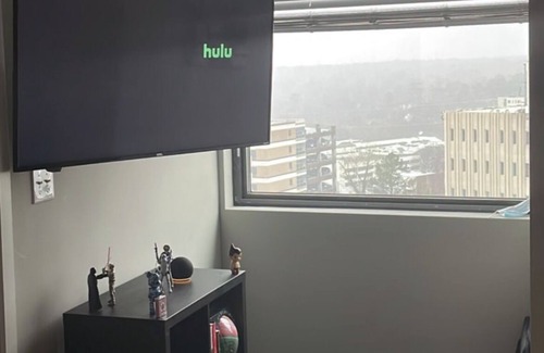Colonial Homes Condo | 4/20 friendly loft in the heart of buckhead/midtown ATLANTA
