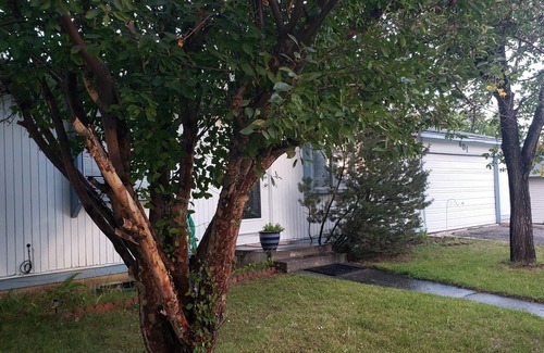 Rock Springs House | 4 Bed 2 Bath Home. Great area. Yard and sun porch. Close to Shopping and park.