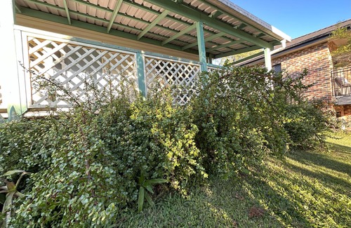 South Grafton House | 4 Bedroom Home Away from Home