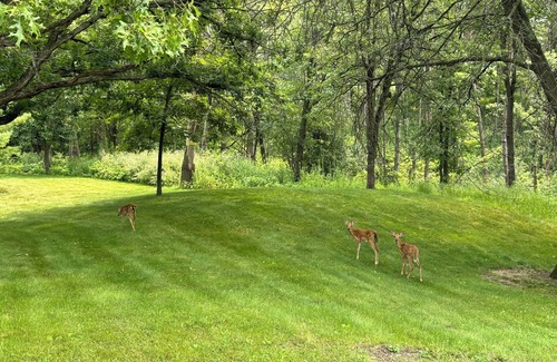 Honey Creek House | 4-bedroom house on 22 acres in beautiful Kettle Moraine