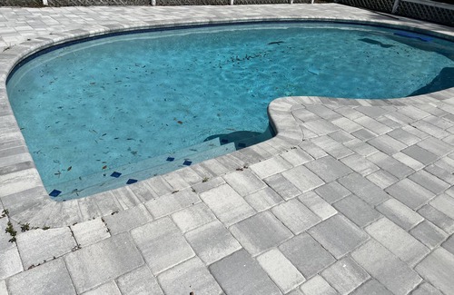 Greater Northdale House | 4 Bedroom House with a Pool! 15 minutes from the TPA Airport!