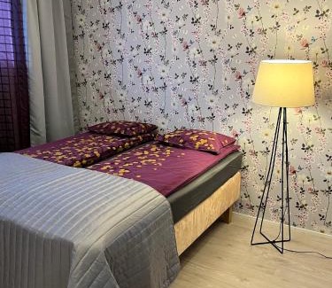Jyvaskyla Apartment | 4 km to the Jyväskylä city center afoot, cute apartment with free parking