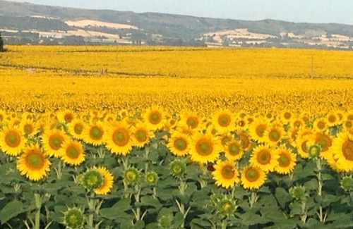 Villepinte Cottage | 4* rated, nr. Carcassonne, Stunning views, 14x7m pool, 3 Beds Sleeps 6