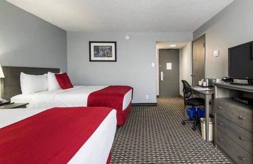 Grande Prairie Hotel | 4 Spacious Rooms Near Philip J Currie Dinosaur Museum, Just 20 Min Away