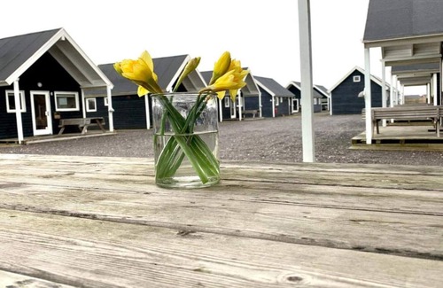 Thyboron House | 4 star holiday home in Thyborøn
