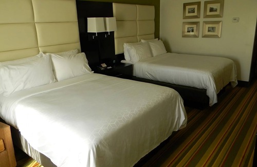 Madison House | 4 Stylish Units for Business Travel, Breakfast, Park