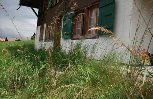 Adelboden Apartment | 40 m² Apartment ∙ 1 bedroom ∙ 4 guests