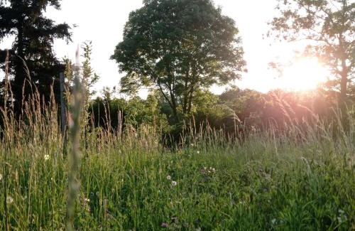 Vas County Apartment | 400 Éves Ház Vendégház