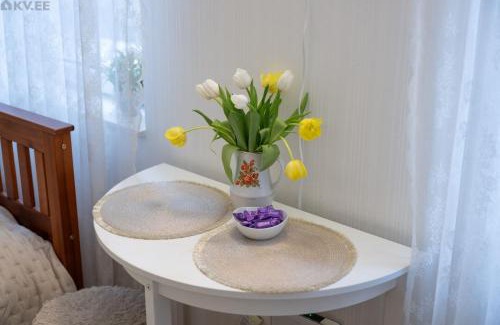 Kesklinn Apartment | 42 Juhkentali