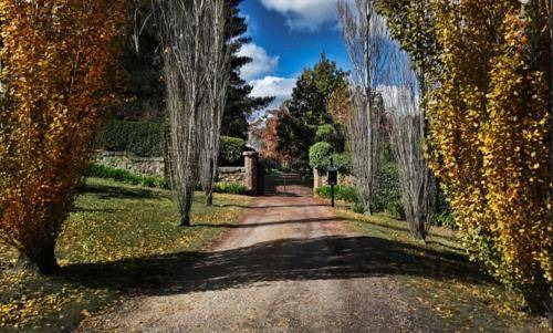 Mount Macedon House | 43 m² House ∙ 1 bedroom ∙ 2 guests