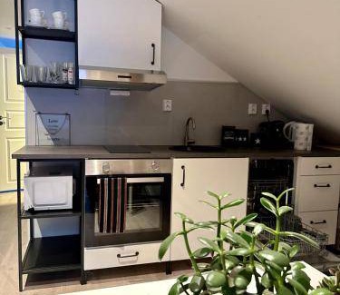Skjervoy Apartment | 45 m² Apartment ∙ 1 bedroom ∙ 2 guests