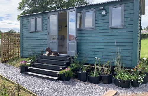Llanfairpwllgwyngyll Cabin | 45 m² Lodge ∙ 1 bedroom ∙ 2 guests