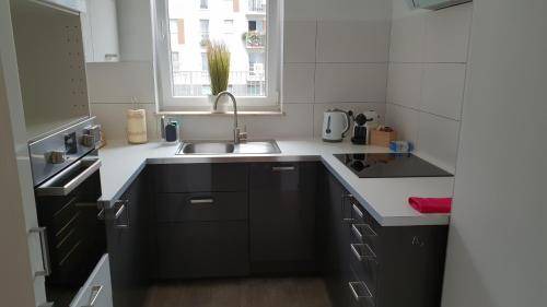 Psie Pole Apartment | 46 m² Apartment ∙ 1 bedroom ∙ 4 guests