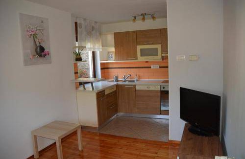 Podmelec Apartment | 49 m² Apartment ∙ 1 bedroom ∙ 4 guests