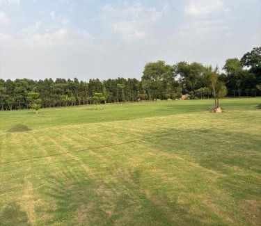 South West House | 4BHK Greenwood Farm And Lawn -Bijwasan I Delhi-Gurgaon Border