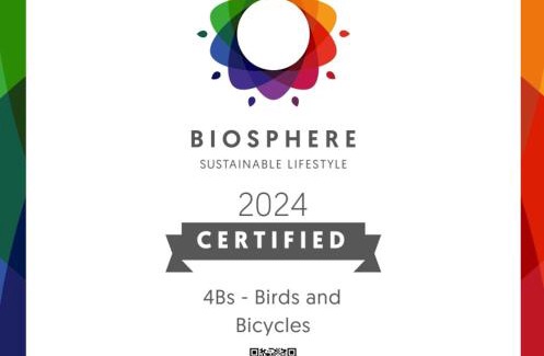 Castro Verde Apartment | 4Bs - Birds & Bicycles