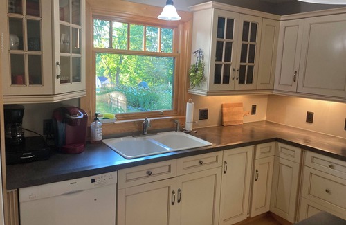 Alanson House | 5 bedrooms steps from Burt Lake. Mins from Petoskey Harbor Springs Indian River