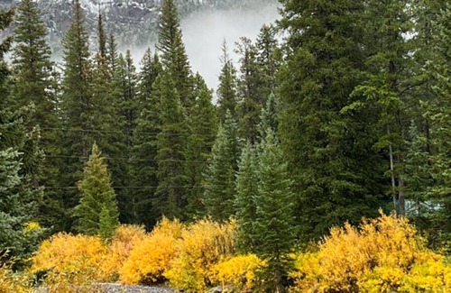 Silver Gate Cabin | 5 minutes to Yellowstone. Fish off your back deck.