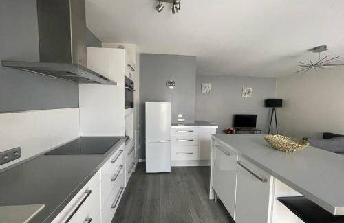 Sainte-Foy-les-Lyon Apartment | 50 m² Apartment ∙ 1 bedroom ∙ 4 guests