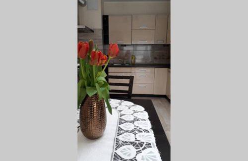 Gdynia Apartment | 50 m² Apartment ∙ 1 bedroom ∙ 6 guests