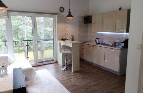 Druskininkai Apartment | 50 m² Apartment ∙ 2 bedrooms ∙ 6 guests