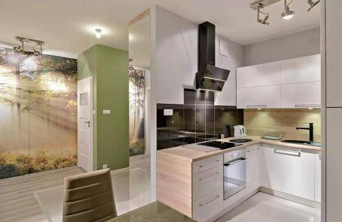 Stare Miasto District Apartment | 50 m² Apartment ∙ 1 bedroom ∙ 6 guests