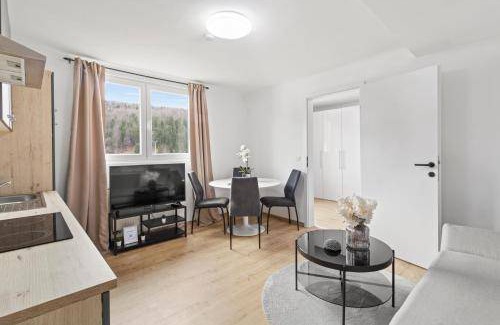 Leoben Apartment | 50 m² Apartment ∙ 1 bedroom ∙ 4 guests