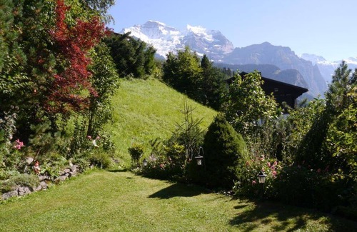 Wengen Apartment | 50 m² Apartment ∙ 1 bedroom ∙ 2 guests