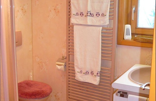 Wengen Apartment | 50 m² Apartment ∙ 1 bedroom ∙ 2 guests