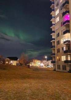 Laugardalur Apartment | 50 m² Apartment ∙ 1 bedroom ∙ 4 guests