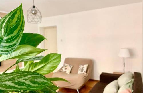 Palilula Apartment | 50 m² Apartment ∙ 1 bedroom ∙ 4 guests