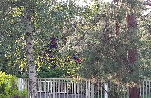 Siofok House | 50 Steps To The Lakeside